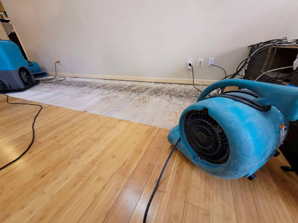 Professional Water Removal technician working in Fort Thomas, AZ